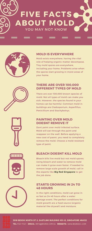 FIVE FACTS
ABOUT MOLD
YOU MAY NOT KNOW
MOLD IS EVERYWHERE
Mold exists everywhere, having the vital
role of helping organic matter decompose.
Tiny mold spores are everywhere,
including your home. Problems arise when
the spores start growing in moist areas of
your home.
THERE ARE OVER 100,000
DIFFERENT TYPES OF MOLD
There are over 100,000 known species of
mold. Not all types of mold can make you
sick. However, the species found in your
homes can be harmful. Common mold in
buildings are Cladosporium, Asperfillus.
Penicillium and Stachybotrys.
PAINTING OVER MOLD
DOESNT REMOVE IT
Dont paint over mold-infested surface.
Mold will eat through the paint and
reappear on the wall. Before applying a
new coat of paont, you need to completely
remove the mold. Choose a mold-resistant
type of paint.
BLEACH DOESNT KILL MOLD
Bleach kills live mold but not mold spores.
Using bleach and water to remove mold
can make it grow even faster. If needed to
remove large scale growth of mold, call in
the experts like Big Red Singapore to get
the job done.
STARTS GROWING IN 24 TO
48 HOURS
In the right conditions, mold can grow in
as fast as 24-48 hours after a water
damage event. The perfect conditions for
mold growth are a food source (organic
material like drywall) and moisture.
3018 BEDOK NORTH ST 5, EASTLINK BUILDING #01-15, SINGAPORE 486132
TEL: EMAIL: WEBSITE:9321 9321 INFO@BIGRED.COM.SG WWW.BIGREDCC.COM
 