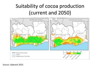 Suitability of cocoa production
(current and 2050)
Source: Läderach 2013
 