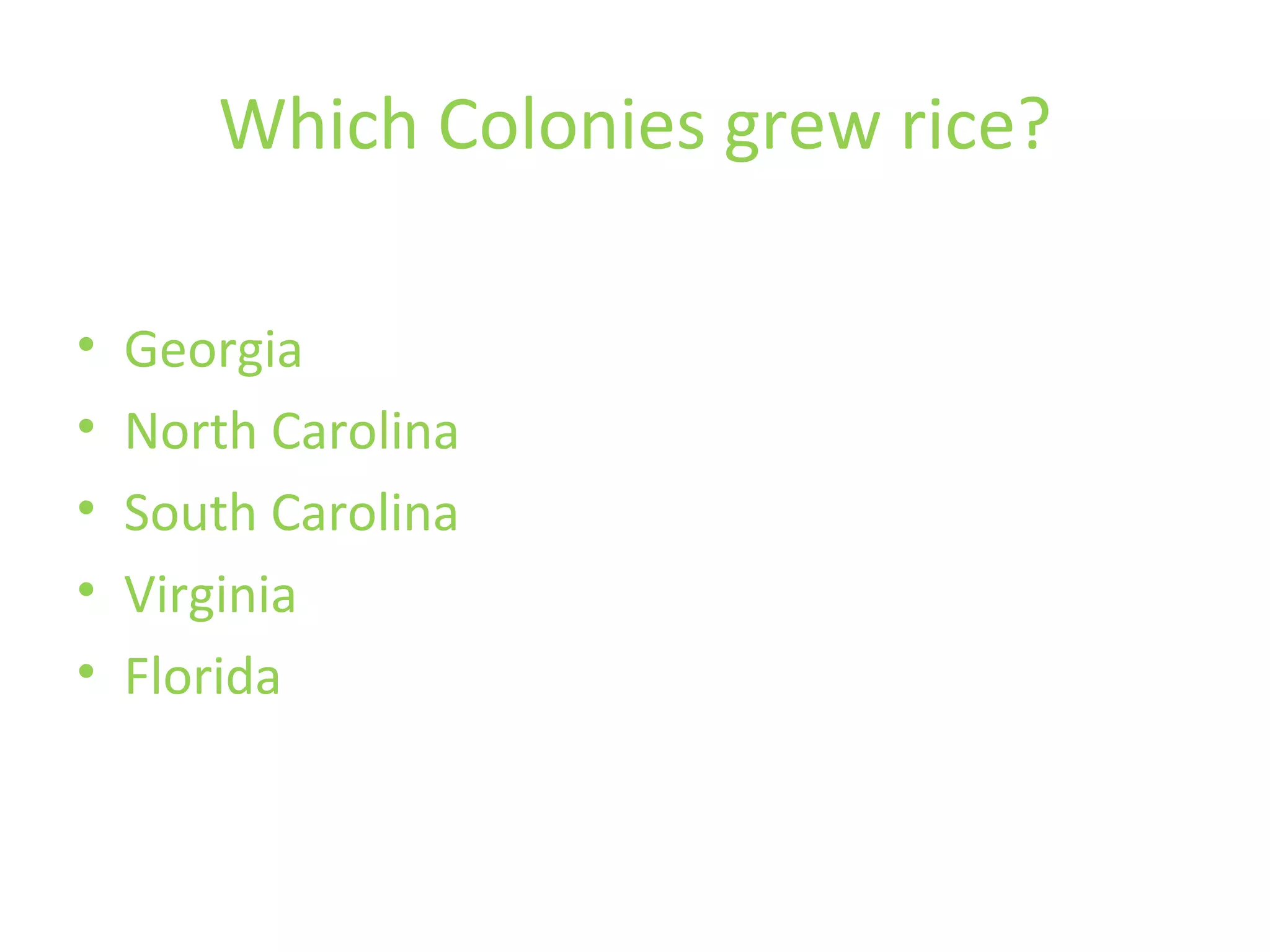 11 Cash Crop In The 13 Th Colonies | PPT