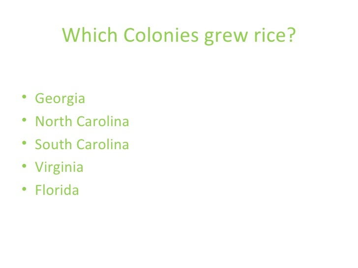 11 Cash Crop In The 13 Th Colonies