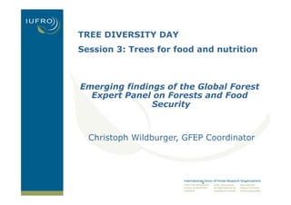 TREE DIVERSITY DAY 
Session 3: Trees for food and nutrition 
Emerging findings of the Global Forest 
Expert Panel on Forests and Food 
1 
Security 
Christoph Wildburger, GFEP Coordinator 
 