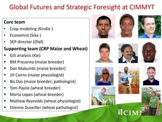 Global Futures and Strategic Foresight at CIMMYT
Core team
• Crop modeling (Kindie )
• Economist (Sika )
• SEP director (O...