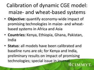 Calibration of dynamic CGE model:
maize- and wheat-based systems
• Objective: quantify economy-wide impact of
promising te...