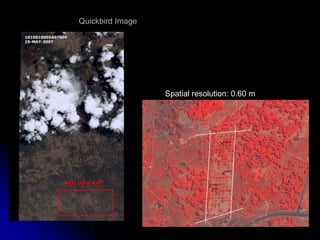 Optical and Microwave Remote Sensing for Crop Monitoring in Mexico | PPTX