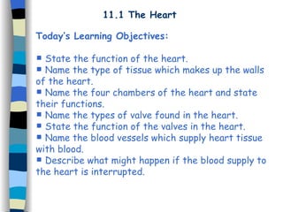 11.1 The Heart ,[object Object],[object Object],[object Object],[object Object],[object Object],[object Object],[object Object],[object Object]