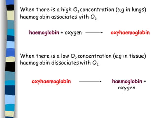 When there is a high O 2  concentration (e.g in lungs) haemoglobin associates with O 2. When there is a low O 2  concentration (e.g in tissue) haemoglobin dissociates with O 2. oxyhaemoglobin haemoglobin  + oxygen haemoglobin  + oxygen oxyhaemoglobin 