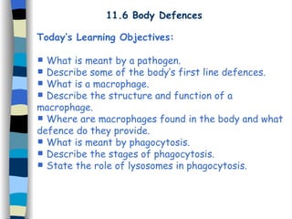 11.6 Body Defences Today’s Learning Objectives: What is meant by a pathogen. Describe some of the body’s first line defences. What is a macrophage. Describe the structure and function of a macrophage. Where are macrophages found in the body and what defence do they provide. What is meant by phagocytosis. Describe the stages of phagocytosis. State the role of lysosomes in phagocytosis. 