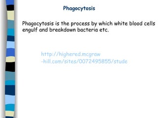 Phagocytosis Phagocytosis is the process by which white blood cells engulf and breakdown bacteria etc. http:// highered . mcgraw -hill.com/sites/0072495855/student_view0/chapter2/animation__phagocytosis.html 