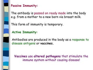 Passive Immunity: The antibody is  passed on ready made  into the body e.g. from a mother to a new born via breast milk. This form of immunity is temporary. Active Immunity: Antibodies are produced in the body as a  response to disease antigens  or  vaccines. Vaccines  use  altered pathogens  that stimulate the immune system without causing disease! 