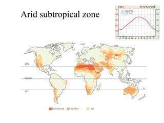 Arid subtropical zone

 