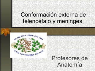 Conformación externa de telencéfalo y meninges  Profesores de Anatomía 
