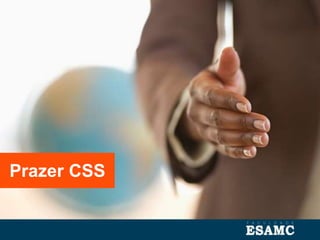 Prazer CSS
 