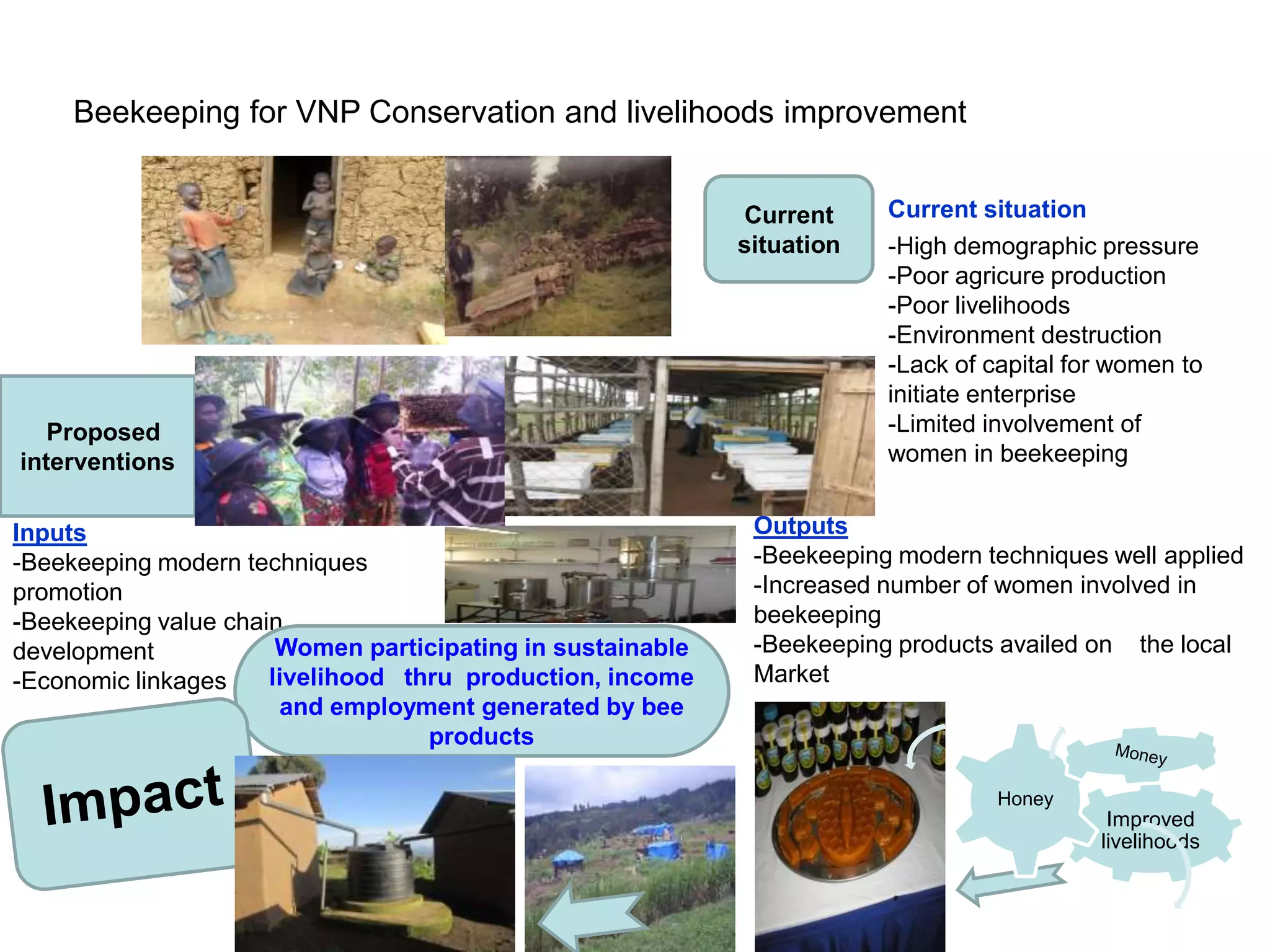 Beekeeping for VNP Conservation and livelihoods improvement
Proposed
interventions
Current situation
-High demographic pressure
-Poor agricure production
-Poor livelihoods
-Environment destruction
-Lack of capital for women to
initiate enterprise
-Limited involvement of
women in beekeeping
Inputs
-Beekeeping modern techniques
promotion
-Beekeeping value chain
development
-Economic linkages
Outputs
-Beekeeping modern techniques well applied
-Increased number of women involved in
beekeeping
-Beekeeping products availed on the local
Market
Improved
livelihoods
Honey
Current
situation
Women participating in sustainable
livelihood thru production, income
and employment generated by bee
products