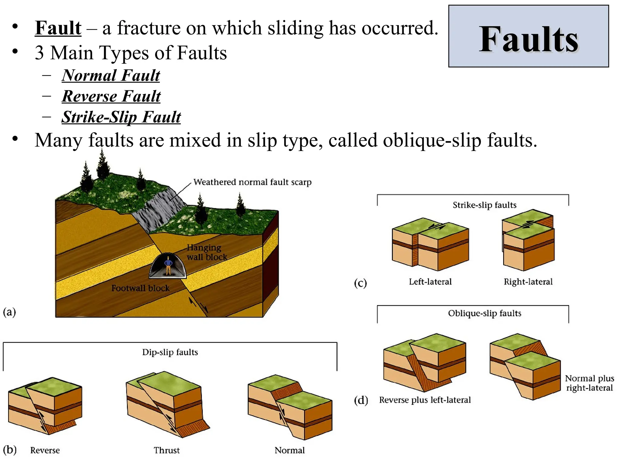 Faults
Faults
• Fault – a fracture on which sliding has occurred.
• 3 Main Types of Faults
– Normal Fault
– Reverse Fault
– Strike-Slip Fault
• Many faults are mixed in slip type, called oblique-slip faults.
 