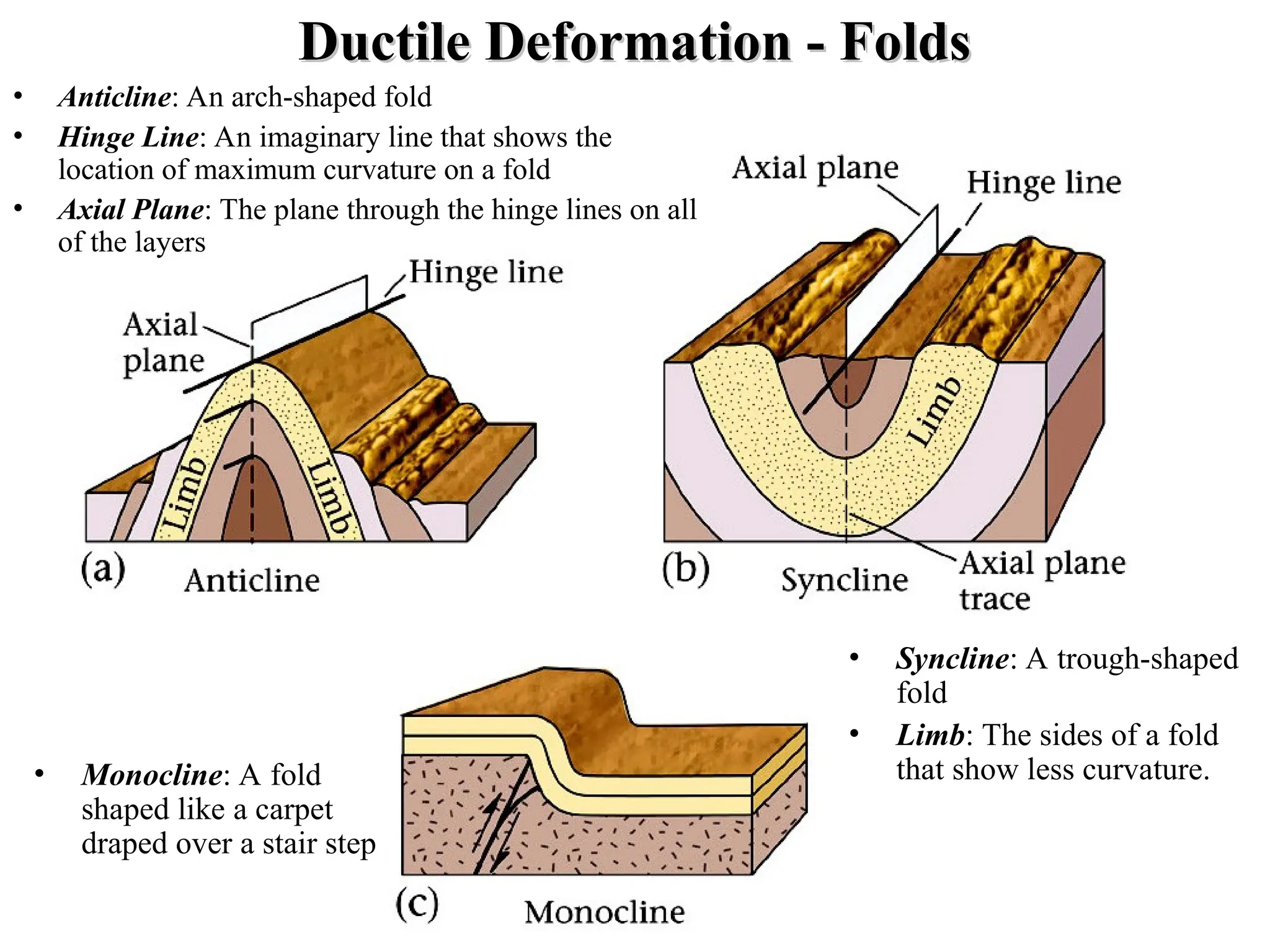 Ductile Deformation - Folds
Ductile Deformation - Folds
• Anticline: An arch-shaped fold
• Hinge Line: An imaginary line that shows the
location of maximum curvature on a fold
• Axial Plane: The plane through the hinge lines on all
of the layers
• Monocline: A fold
shaped like a carpet
draped over a stair step
• Syncline: A trough-shaped
fold
• Limb: The sides of a fold
that show less curvature.
 