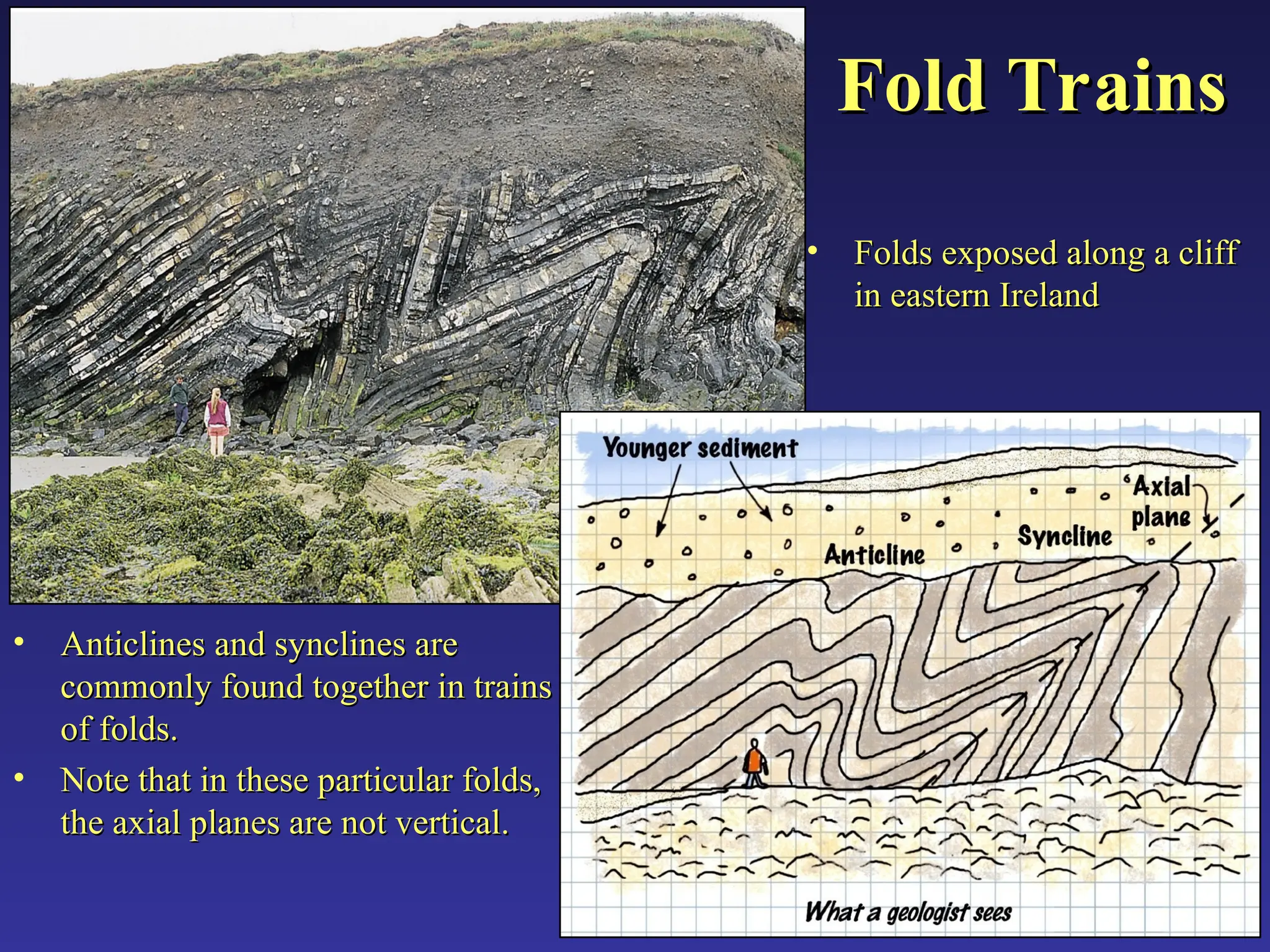 Fold Trains
Fold Trains
• Anticlines and synclines are
Anticlines and synclines are
commonly found together in trains
commonly found together in trains
of folds.
of folds.
• Note that in these particular folds,
Note that in these particular folds,
the axial planes are not vertical.
the axial planes are not vertical.
• Folds exposed along a cliff
Folds exposed along a cliff
in eastern Ireland
in eastern Ireland
 