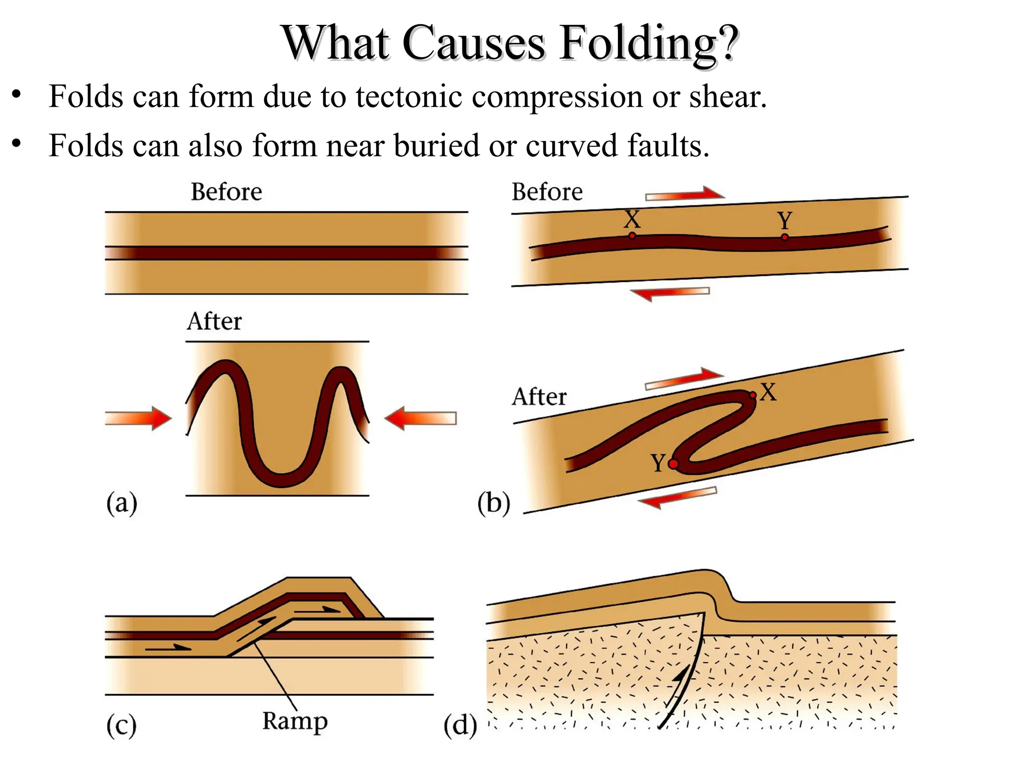What Causes Folding?
What Causes Folding?
• Folds can form due to tectonic compression or shear.
• Folds can also form near buried or curved faults.
 