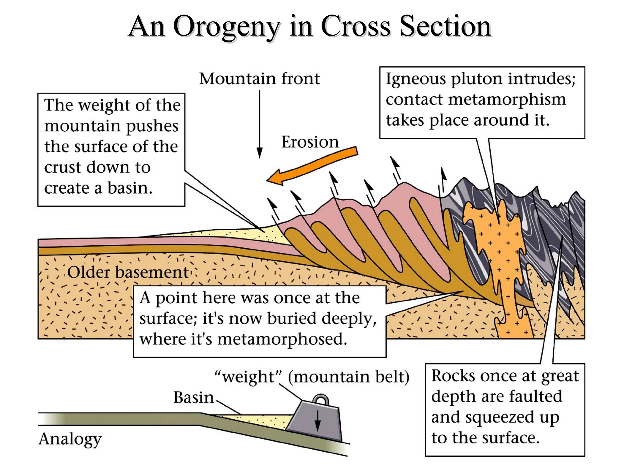 An Orogeny in Cross Section
An Orogeny in Cross Section
 