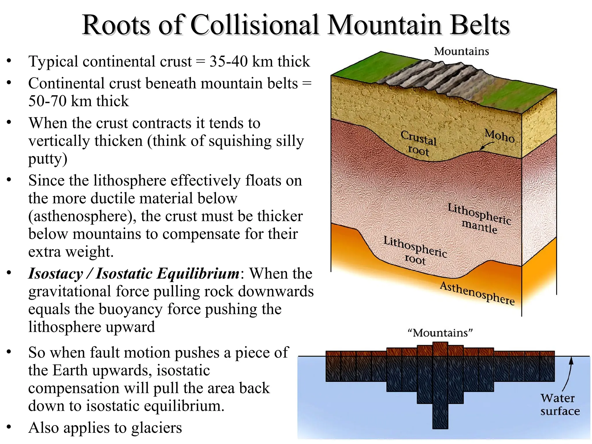 Roots of Collisional Mountain Belts
Roots of Collisional Mountain Belts
• Typical continental crust = 35-40 km thick
• Continental crust beneath mountain belts =
50-70 km thick
• When the crust contracts it tends to
vertically thicken (think of squishing silly
putty)
• Since the lithosphere effectively floats on
the more ductile material below
(asthenosphere), the crust must be thicker
below mountains to compensate for their
extra weight.
• Isostacy / Isostatic Equilibrium: When the
gravitational force pulling rock downwards
equals the buoyancy force pushing the
lithosphere upward
• So when fault motion pushes a piece of
the Earth upwards, isostatic
compensation will pull the area back
down to isostatic equilibrium.
• Also applies to glaciers
 