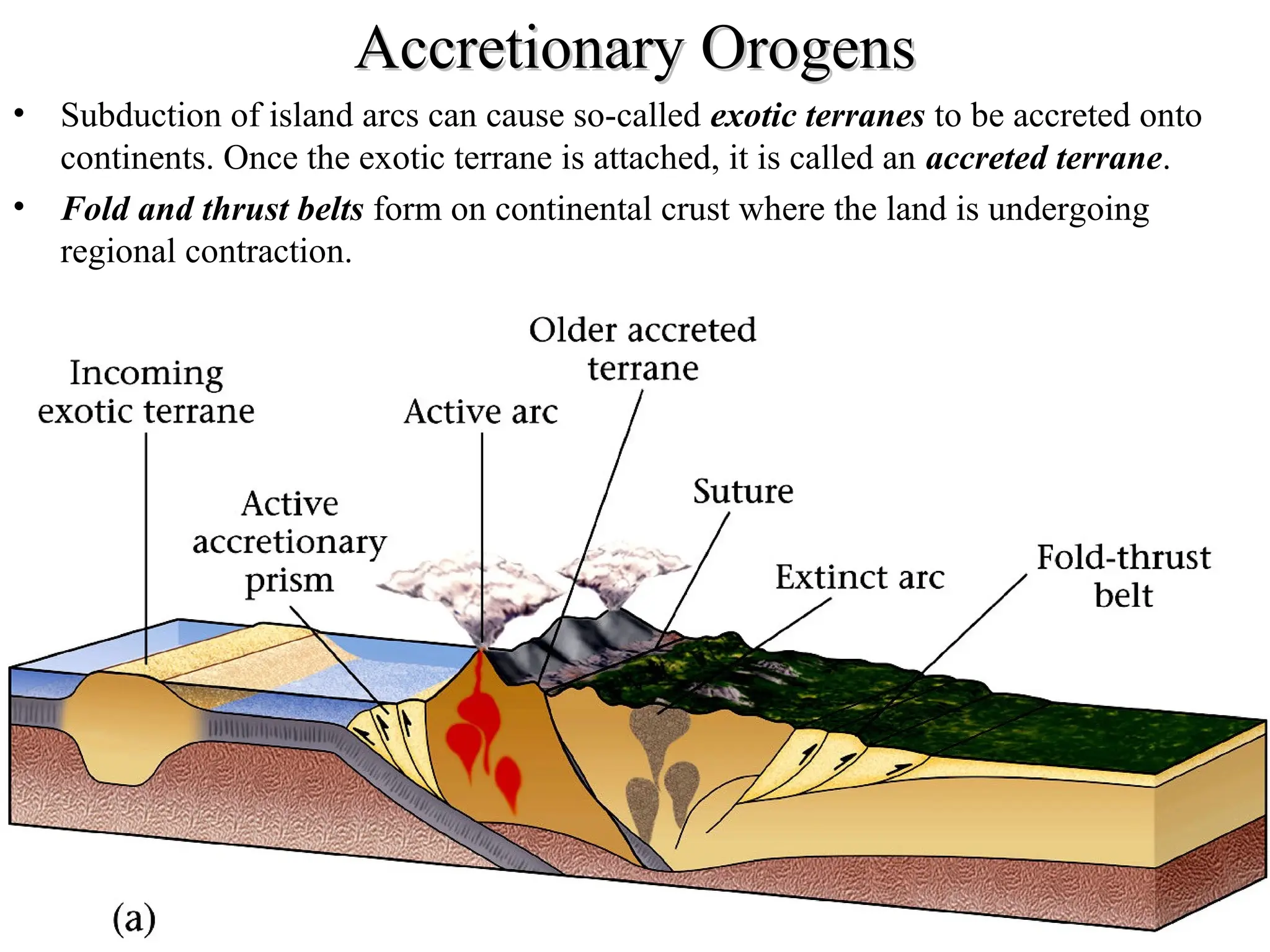 Accretionary Orogens
Accretionary Orogens
• Subduction of island arcs can cause so-called exotic terranes to be accreted onto
continents. Once the exotic terrane is attached, it is called an accreted terrane.
• Fold and thrust belts form on continental crust where the land is undergoing
regional contraction.
 