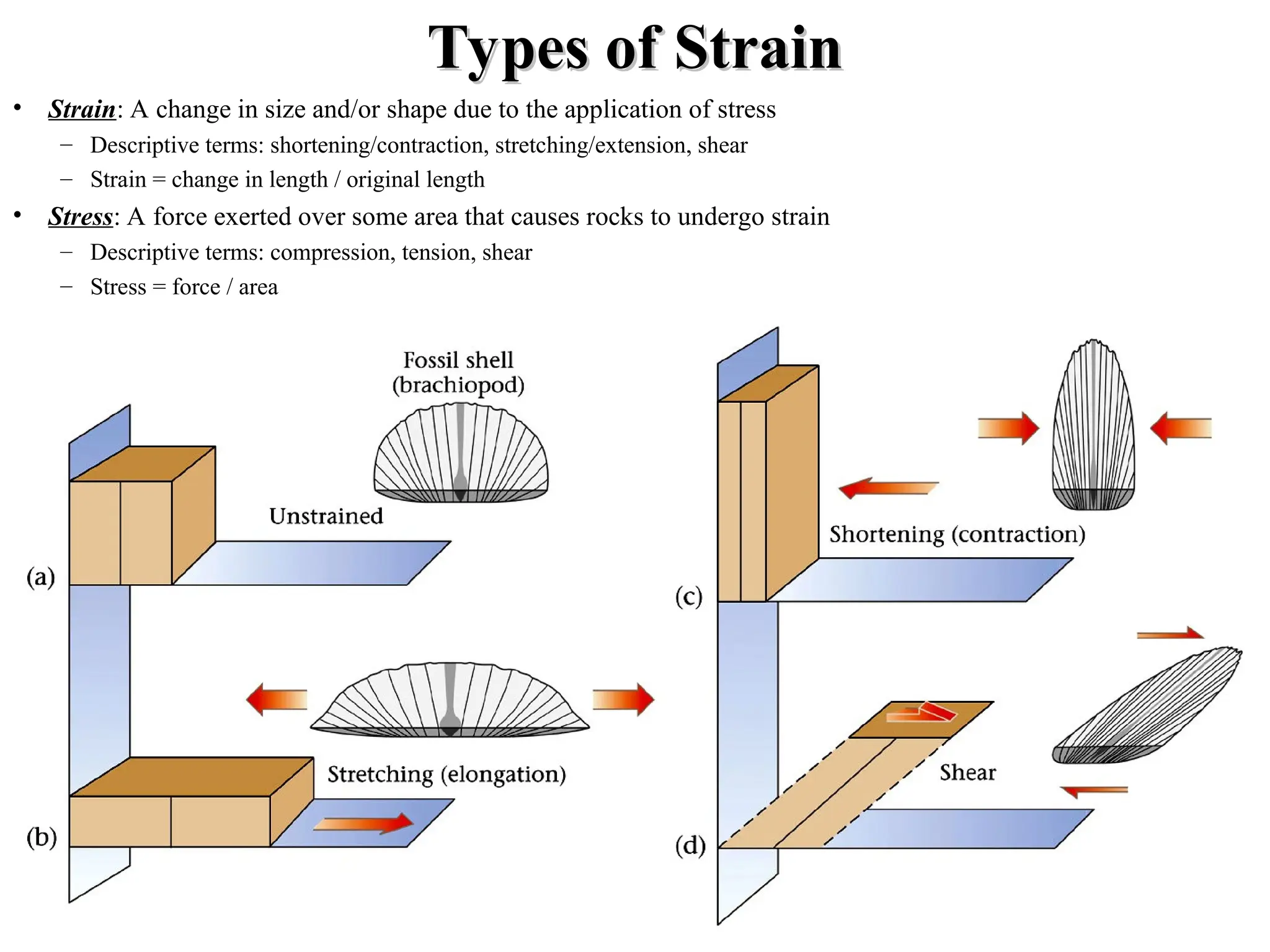 Types of Strain
Types of Strain
• Strain: A change in size and/or shape due to the application of stress
– Descriptive terms: shortening/contraction, stretching/extension, shear
– Strain = change in length / original length
• Stress: A force exerted over some area that causes rocks to undergo strain
– Descriptive terms: compression, tension, shear
– Stress = force / area
 