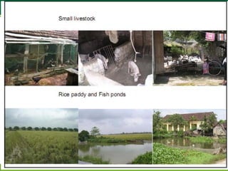 Designing and implementing an integrative research project: Lessons learned from a case study in Vietnam