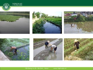 Designing and implementing an integrative research project: Lessons learned from a case study in Vietnam