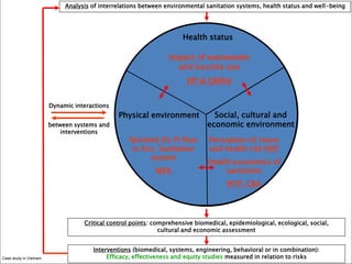 Designing and implementing an integrative research project: Lessons learned from a case study in Vietnam