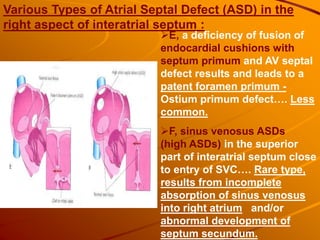 Various Types of Atrial Septal Defect (ASD) in the
right aspect of interatrial septum :
E, a deficiency of fusion of
endocardial cushions with
septum primum and AV septal
defect results and leads to a
patent foramen primum -
Ostium primum defect…. Less
common.
F, sinus venosus ASDs
(high ASDs) in the superior
part of interatrial septum close
to entry of SVC…. Rare type,
results from incomplete
absorption of sinus venosus
into right atrium and/or
abnormal development of
septum secundum.
 