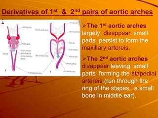 Derivatives of 1st & 2nd pairs of aortic arches
:
The 1st aortic arches
largely disappear. small
parts persist to form the
maxillary artereis.
The 2nd aortic arches
disappear leaving small
parts forming the stapedial
artereis (run through the
ring of the stapes, a small
bone in middle ear).
 