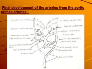 Final development of the arteries from the aortic
arches arteries :
 