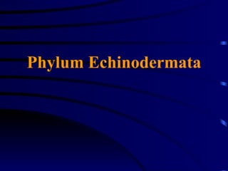 Phylum Echinodermata
 