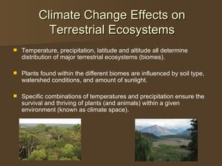 Climate Change Effects on Terrestrial Ecosystems ,[object Object],[object Object],[object Object]