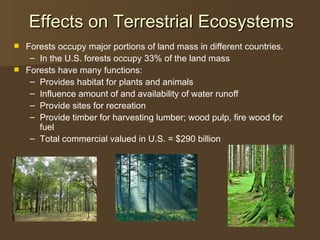 Effects on Terrestrial Ecosystems <ul><li>Forests occupy major portions of land mass in different countries. </li></ul><ul...