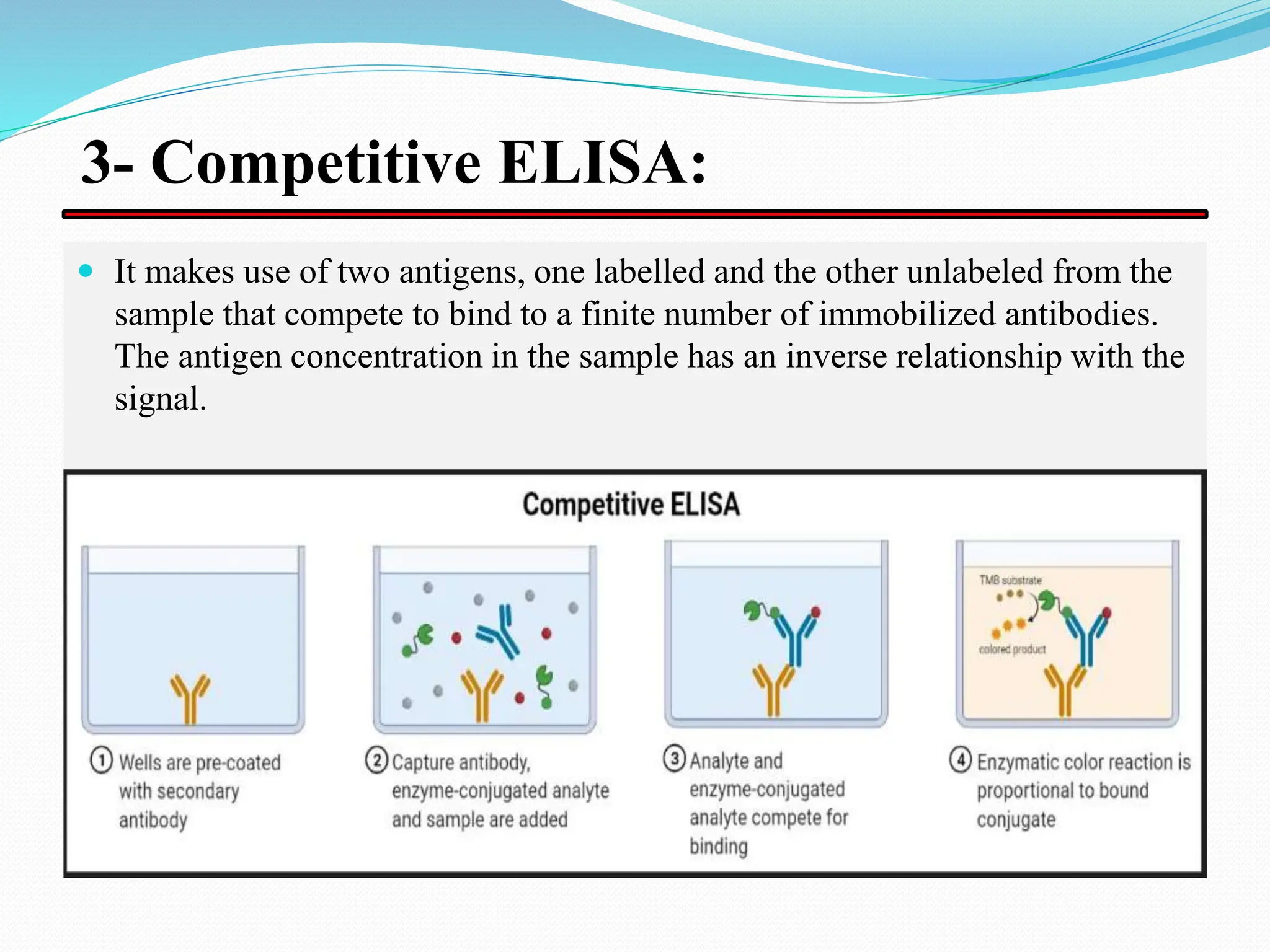 Elisa
