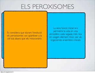 ELS PEROXISOMES


                                                    La seva funció inicial era
                                                    permetre la vida en una
           Es considera que durant l’evolució
                                                atmosfera cada vegada més rica
           els peroxisomes van aparèixer a la
                                                en oxigen, element tòxic per als
           cèl·lula abans que els mitocondris
                                                 organismes anaeròbics inicials




dijous 31 de gener de 13
 