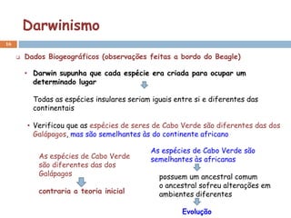 Darwinismo
16

        Dados Biogeográficos (observações feitas a bordo do Beagle)

         • Darwin supunha que cada espécie era criada para ocupar um
           determinado lugar

           Todas as espécies insulares seriam iguais entre si e diferentes das
           continentais

         • Verificou que as espécies de seres de Cabo Verde são diferentes das dos
           Galápagos, mas são semelhantes às do continente africano

                                              As espécies de Cabo Verde são
            As espécies de Cabo Verde         semelhantes às africanas
            são diferentes das dos
            Galápagos                           possuem um ancestral comum
                                                o ancestral sofreu alterações em
            contraria a teoria inicial          ambientes diferentes

                                                       Evolução
 