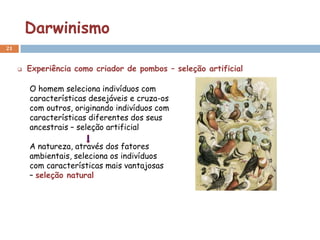 Darwinismo
21


        Experiência como criador de pombos – seleção artificial

         O homem seleciona indivíduos com
         características desejáveis e cruza-os
         com outros, originando indivíduos com
         características diferentes dos seus
         ancestrais – seleção artificial

         A natureza, através dos fatores
         ambientais, seleciona os indivíduos
         com características mais vantajosas
         – seleção natural
 