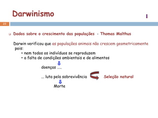Darwinismo
23


        Dados sobre o crescimento das populações - Thomas Malthus

         Darwin verificou que as populações animais não crescem geometricamente
          pois:
              • nem todos os indivíduos se reproduzem
              • a falta de condições ambientais e de alimentos

                       doenças …..

                       ... luta pela sobrevivência     Seleção natural

                              Morte
 
