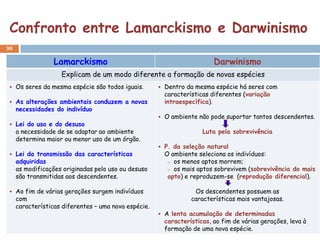 Confronto entre Lamarckismo e Darwinismo
30

                  Lamarckismo                                            Darwinismo
                    Explicam de um modo diferente a formação de novas espécies
  Os seres da mesma espécie são todos iguais.         Dentro da mesma espécie há seres com
                                                        características diferentes (variação
  As alterações ambientais conduzem a novas            intraespecífica).
     necessidades do indivíduo
                                                       O ambiente não pode suportar tantos descendentes.
  Lei do uso e do desuso
     a necessidade de se adaptar ao ambiente                         Luta pela sobrevivência
     determina maior ou menor uso de um órgão.
                                                       P. da seleção natural
  Lei da transmissão das características               O ambiente seleciona os indivíduos:
     adquiridas                                          o os menos aptos morrem;
     as modificações originadas pelo uso ou desuso       o os mais aptos sobrevivem (sobrevivência do mais
     são transmitidas aos descendentes.                  apto) e reproduzem-se (reprodução diferencial).

  Ao fim de várias gerações surgem indivíduos                    Os descendentes possuem as
     com                                                         características mais vantajosas.
     características diferentes – uma nova espécie.
                                                       A lenta acumulação de determinadas
                                                        características, ao fim de várias gerações, leva à
                                                        formação de uma nova espécie.
 