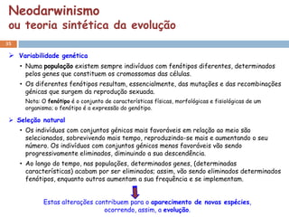 Neodarwinismo
 ou teoria sintética da evolução
35

  Variabilidade genética
     • Numa população existem sempre indivíduos com fenótipos diferentes, determinados
       pelos genes que constituem os cromossomas das células.
     • Os diferentes fenótipos resultam, essencialmente, das mutações e das recombinações
       génicas que surgem da reprodução sexuada.
      Nota: O fenótipo é o conjunto de características físicas, morfológicas e fisiológicas de um
      organismo; o fenótipo é a expressão do genótipo.

  Seleção natural
     • Os indivíduos com conjuntos génicos mais favoráveis em relação ao meio são
       selecionados, sobrevivendo mais tempo, reproduzindo-se mais e aumentando o seu
       número. Os indivíduos com conjuntos génicos menos favoráveis vão sendo
       progressivamente eliminados, diminuindo a sua descendência.
     • Ao longo do tempo, nas populações, determinados genes, (determinadas
       características) acabam por ser eliminados; assim, vão sendo eliminados determinados
       fenótipos, enquanto outros aumentam a sua frequência e se implementam.


            Estas alterações contribuem para o aparecimento de novas espécies,
                                ocorrendo, assim, a evolução.
 