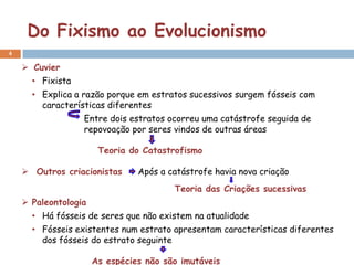Do Fixismo ao Evolucionismo
4

     Cuvier
      • Fixista
      • Explica a razão porque em estratos sucessivos surgem fósseis com
        características diferentes
                  Entre dois estratos ocorreu uma catástrofe seguida de
                  repovoação por seres vindos de outras áreas

                       Teoria do Catastrofismo

     Outros criacionistas      Após a catástrofe havia nova criação
                                        Teoria das Criações sucessivas
     Paleontologia
      • Há fósseis de seres que não existem na atualidade
      • Fósseis existentes num estrato apresentam características diferentes
        dos fósseis do estrato seguinte

                      As espécies não são imutáveis
 