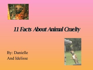11 Facts About Animal Cruelty By: Danielle And Idelisse 