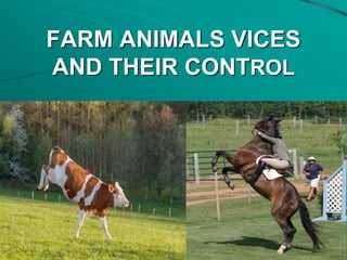 FARM ANIMALS VICES
AND THEIR CONTROL
 