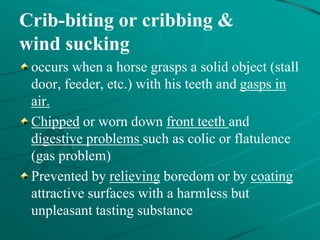 11-Farm Animals Vices and their Control.ppt