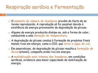 Respiração aeróbia e Fermentação
10



        O aumento do número de leveduras provém do facto de se
         terem reproduzido. A reprodução só foi possível devido à
         existência de energia proveniente da degradação da glicose.
        Alguma da energia produzida dissipa-se, sob a forma de calor,
         conduzindo a uma elevação da temperatura.
        A degradação da glicose conduz à formação de produtos finais
         menos ricos em energia, como o CO2, que turva a água de cal.
        Em anaerobiose, da degradação da glicose resulta a formação de
         álcool (etanol), composto ainda rico em energia.
        A multiplicação mais intensa das leveduras, em condições
         aeróbias, evidencia uma maior capacidade de mobilização de
         energia.
 