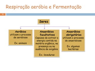 Respiração aeróbia e Fermentação
11



                               Seres


          Aeróbios             Anaeróbios             Anaeróbios
      utilizam o processo      facultativos           obrigatórios
          de aerobiose      Capazes de extrair a   utilizam o processo
                             energia contida na      de anaerobiose
         Ex. animais        matéria orgânica, na
                               presença ou na         Ex. algumas
                            ausência de oxigénio       bactérias

                               Ex.: leveduras
 
