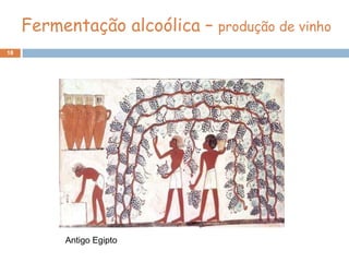 Fermentação alcoólica – produção de vinho
18




          Antigo Egipto
 