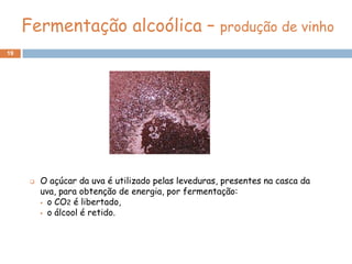 Fermentação alcoólica – produção de vinho
19




         O açúcar da uva é utilizado pelas leveduras, presentes na casca da
          uva, para obtenção de energia, por fermentação:
           o CO2 é libertado,

           o álcool é retido.
 