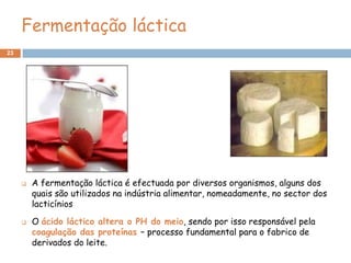 Fermentação láctica
23




        A fermentação láctica é efectuada por diversos organismos, alguns dos
         quais são utilizados na indústria alimentar, nomeadamente, no sector dos
         lacticínios

        O ácido láctico altera o PH do meio, sendo por isso responsável pela
         coagulação das proteínas – processo fundamental para o fabrico de
         derivados do leite.
 